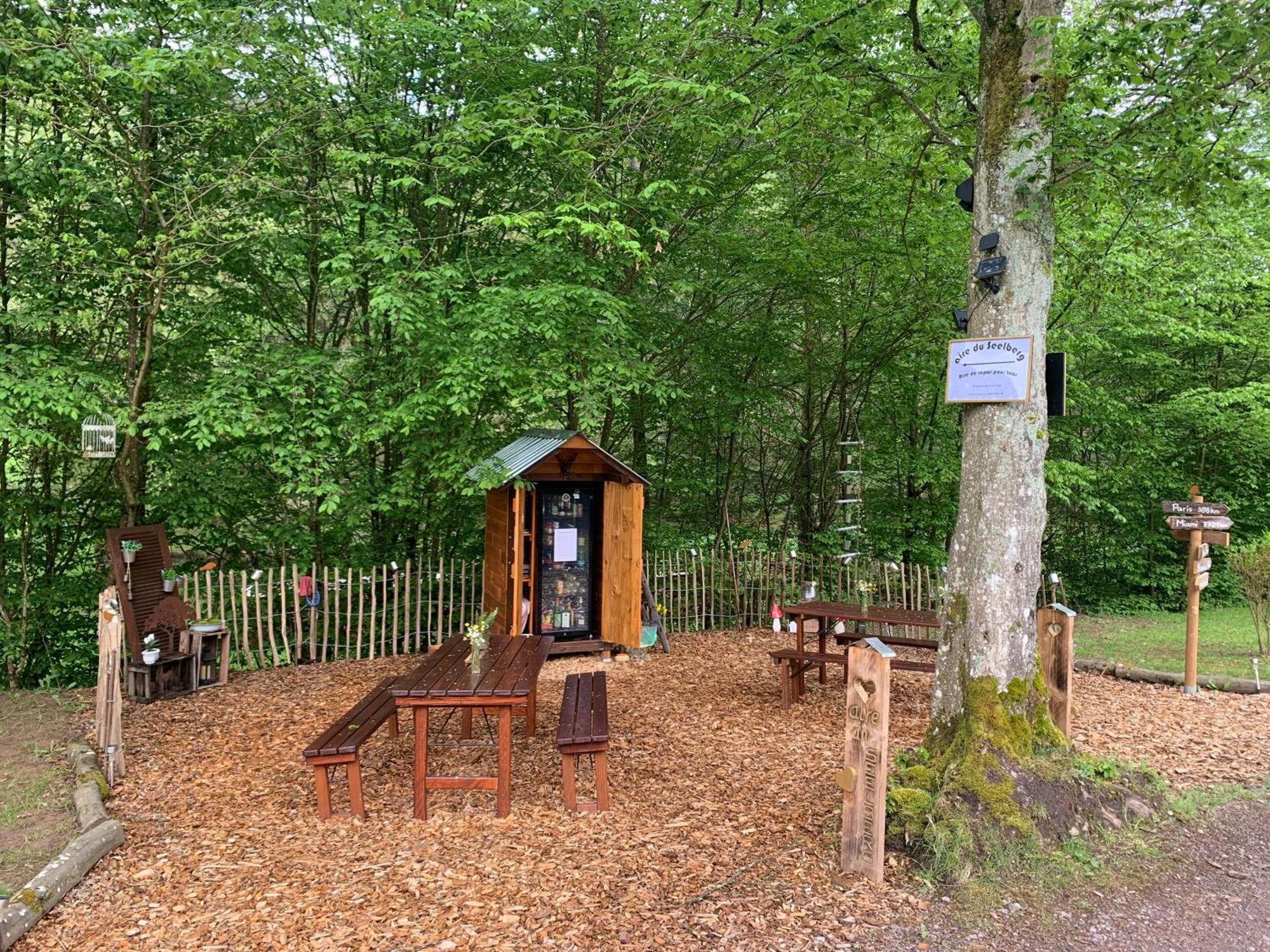 Le Wineck Villa Dambach Exteriör bild