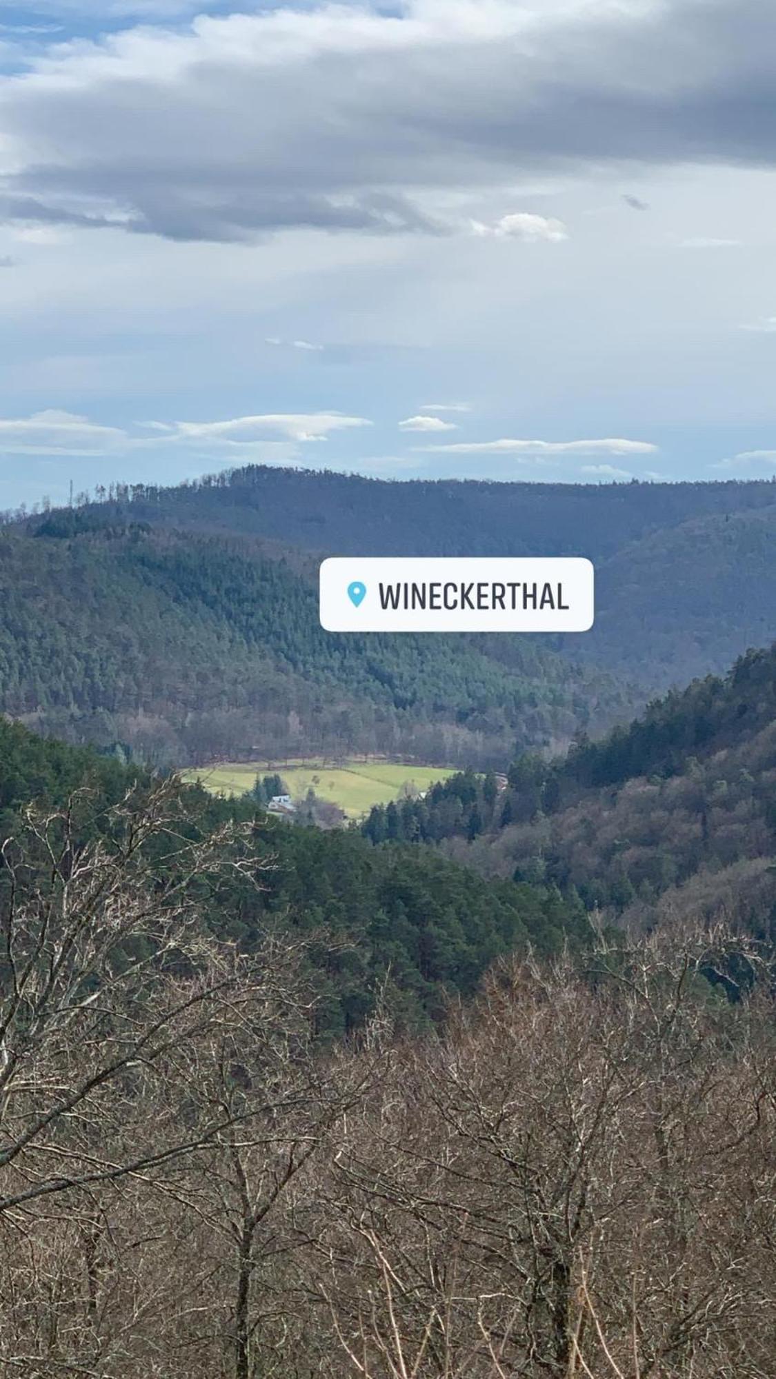 Le Wineck Villa Dambach Exteriör bild
