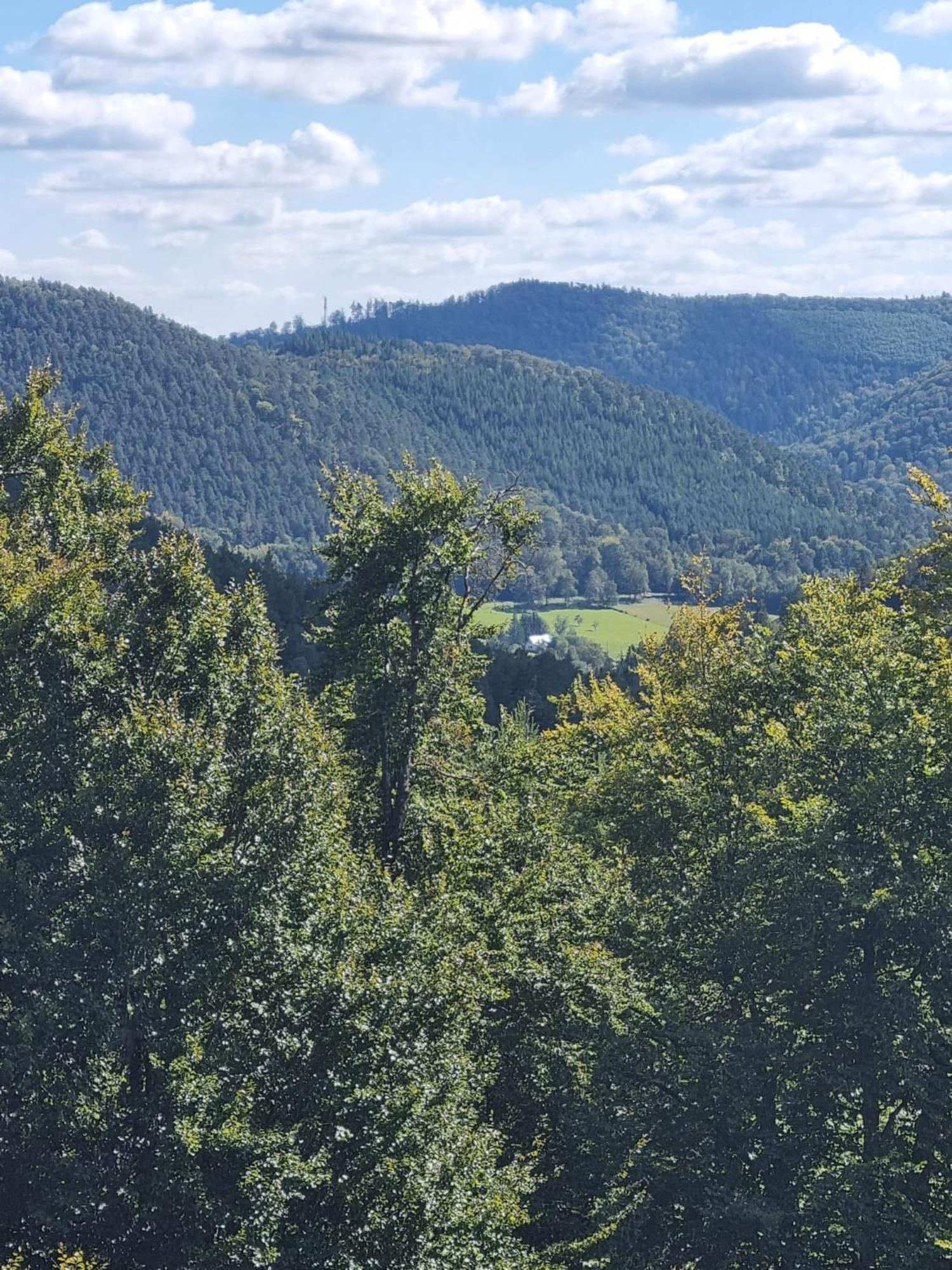 Le Wineck Villa Dambach Exteriör bild