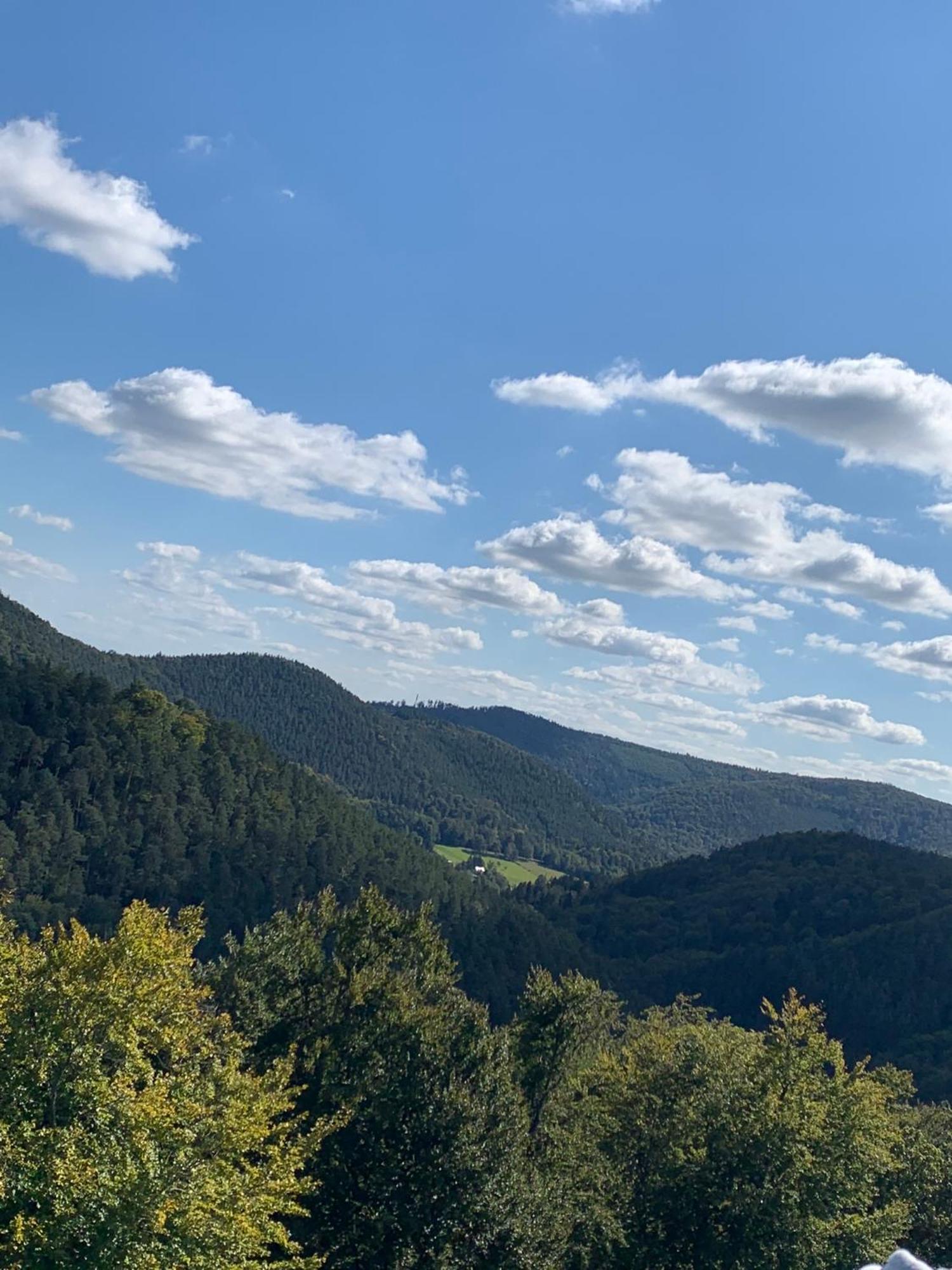 Le Wineck Villa Dambach Exteriör bild