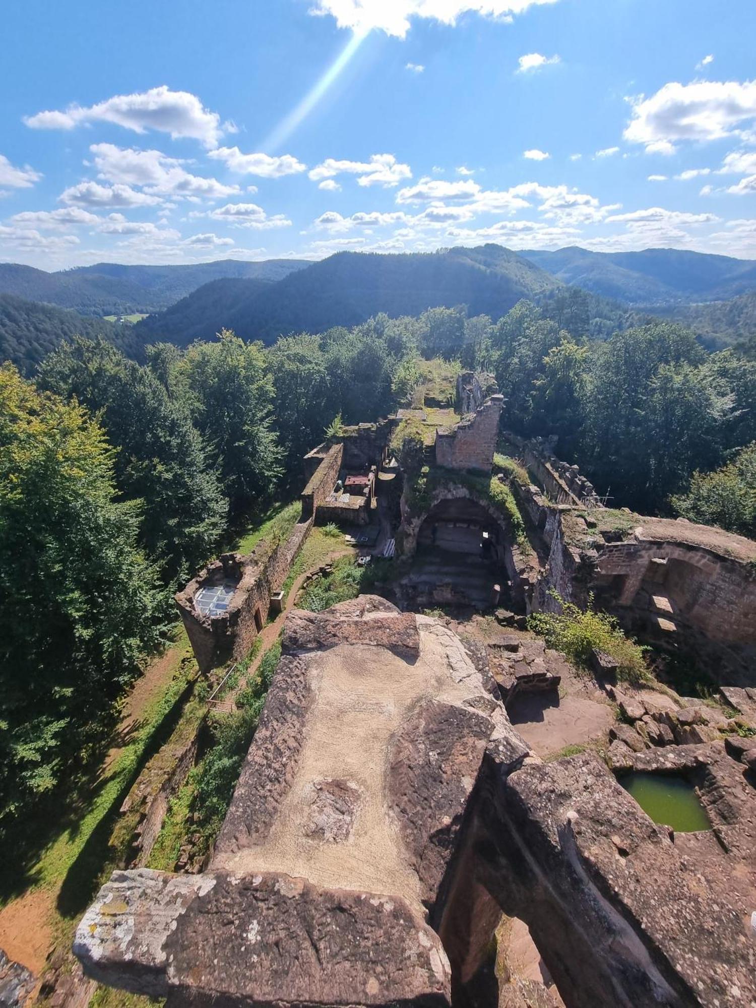 Le Wineck Villa Dambach Exteriör bild