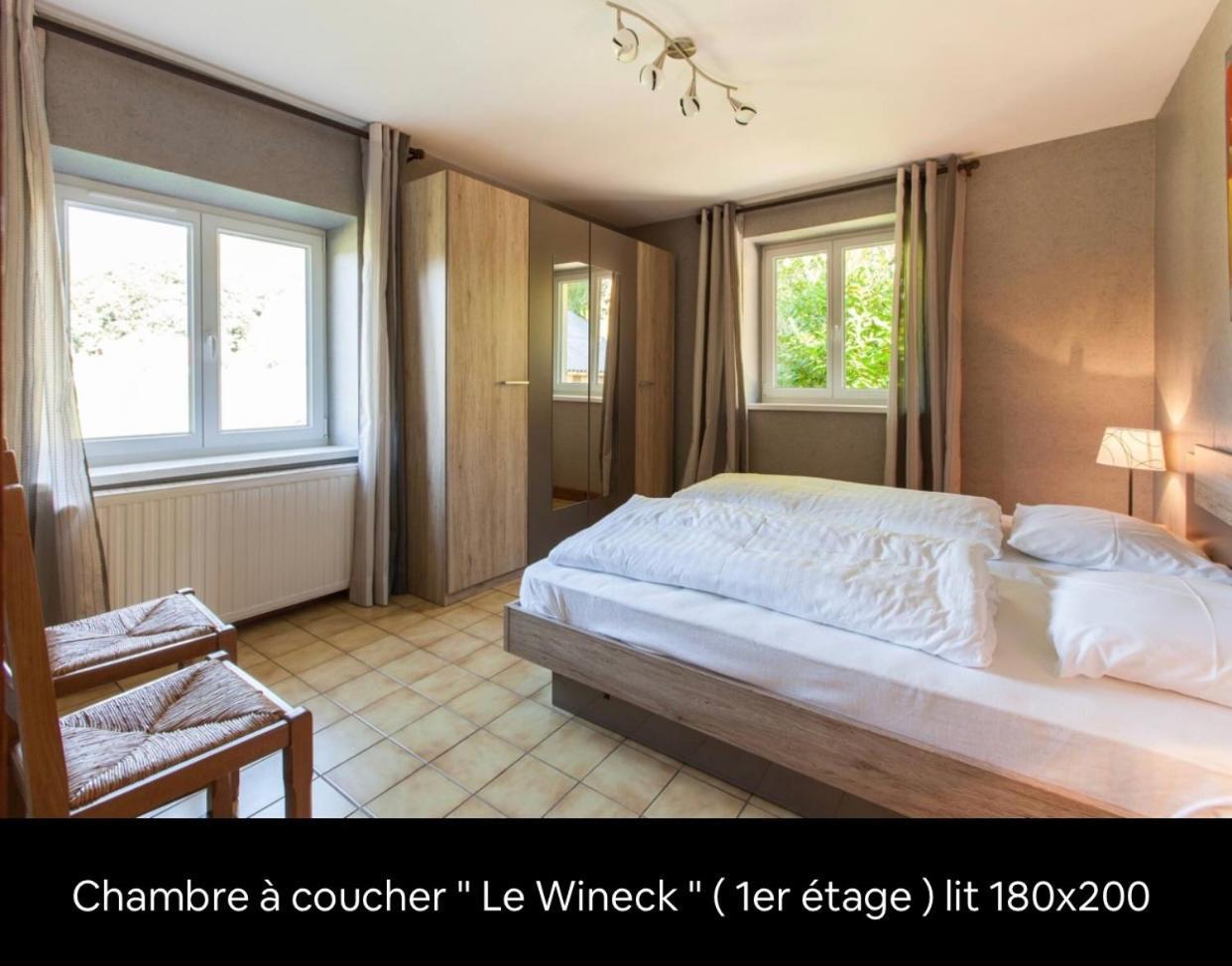 Le Wineck Villa Dambach Exteriör bild