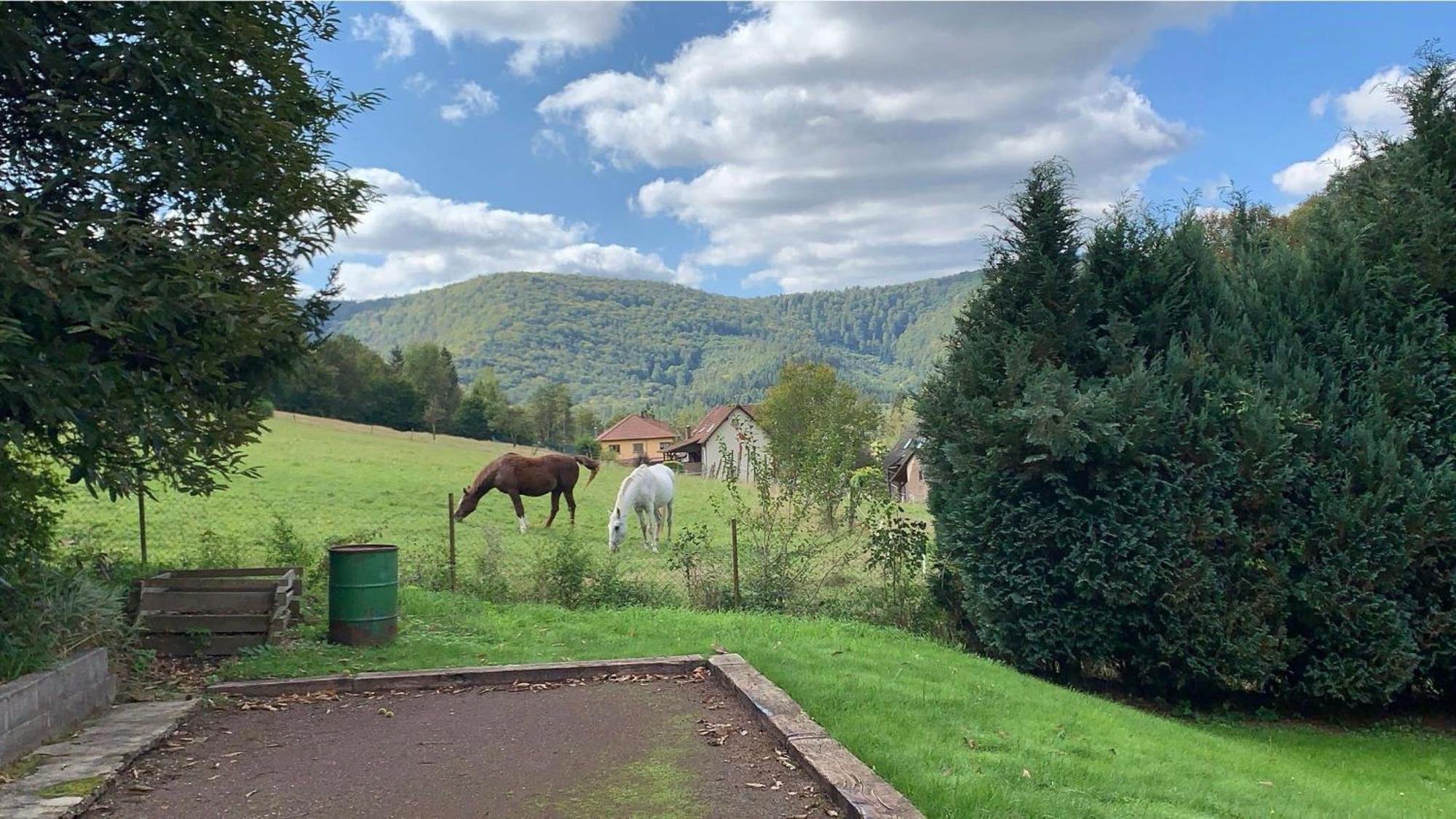 Le Wineck Villa Dambach Exteriör bild
