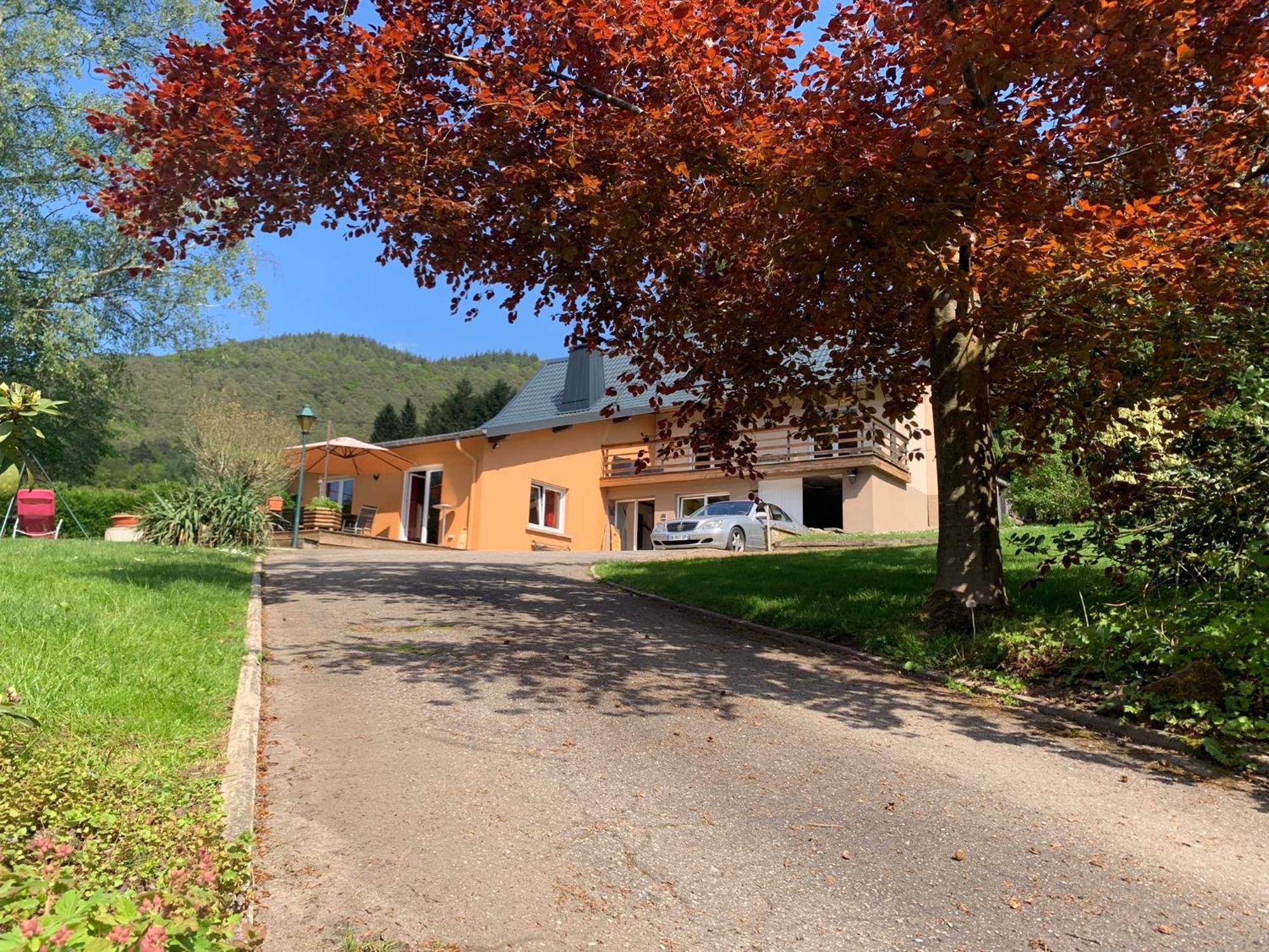 Le Wineck Villa Dambach Exteriör bild