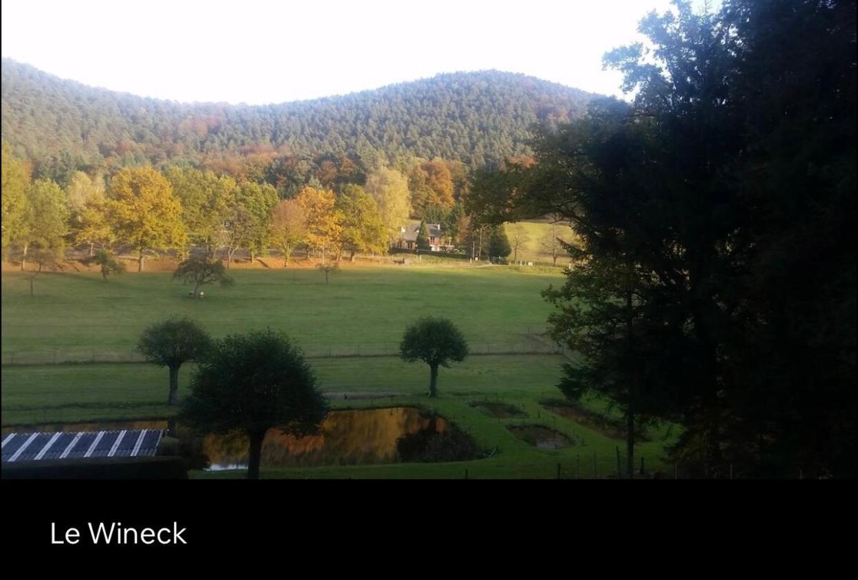 Le Wineck Villa Dambach Exteriör bild