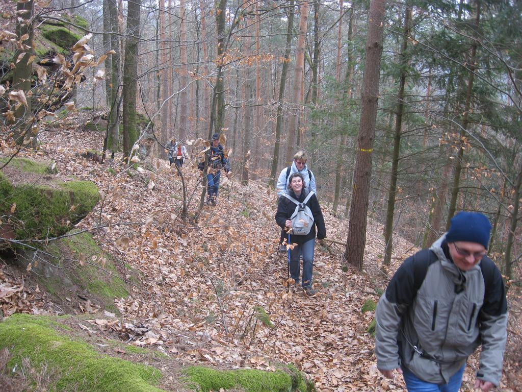 Le Wineck Villa Dambach Exteriör bild