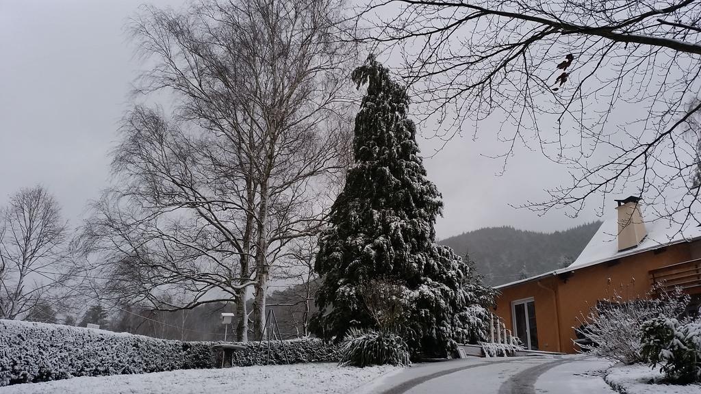 Le Wineck Villa Dambach Exteriör bild