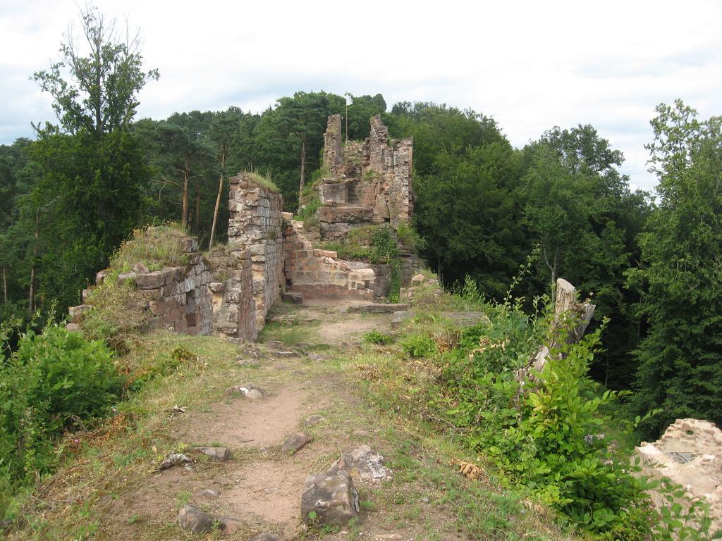 Le Wineck Villa Dambach Exteriör bild
