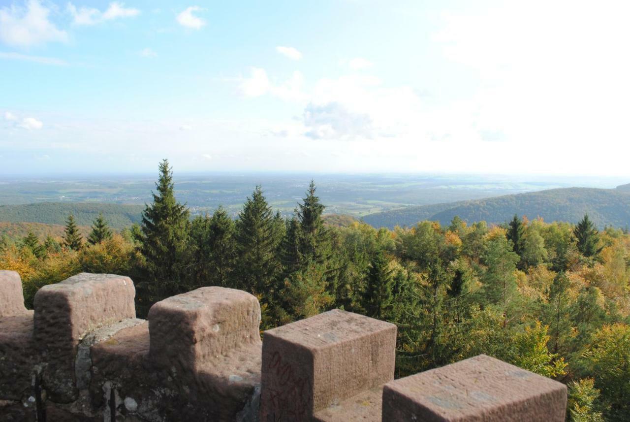Le Wineck Villa Dambach Exteriör bild